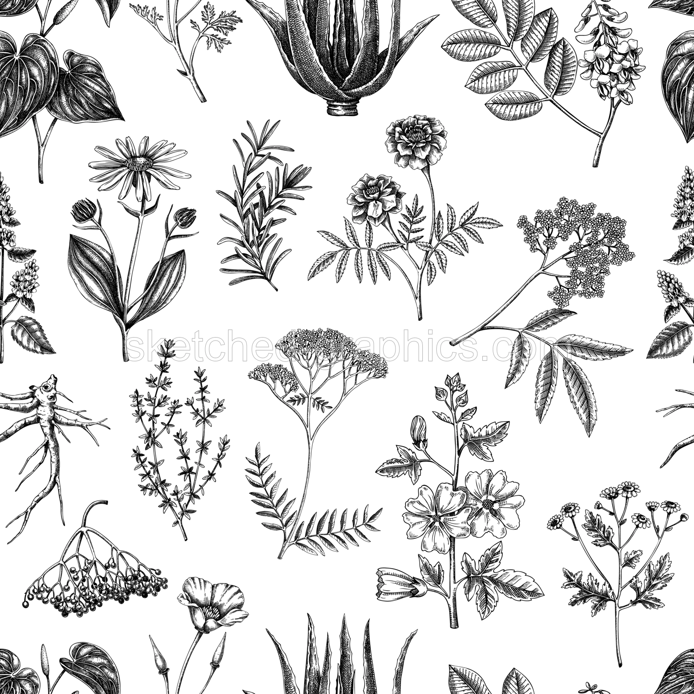 Apothecary plant background. Medicinal herbs seamless pattern. Herbal remedies, natural medicine, Healing plants sketches. Hand-drawn vector illustration.NOT AI genereted Illustration
